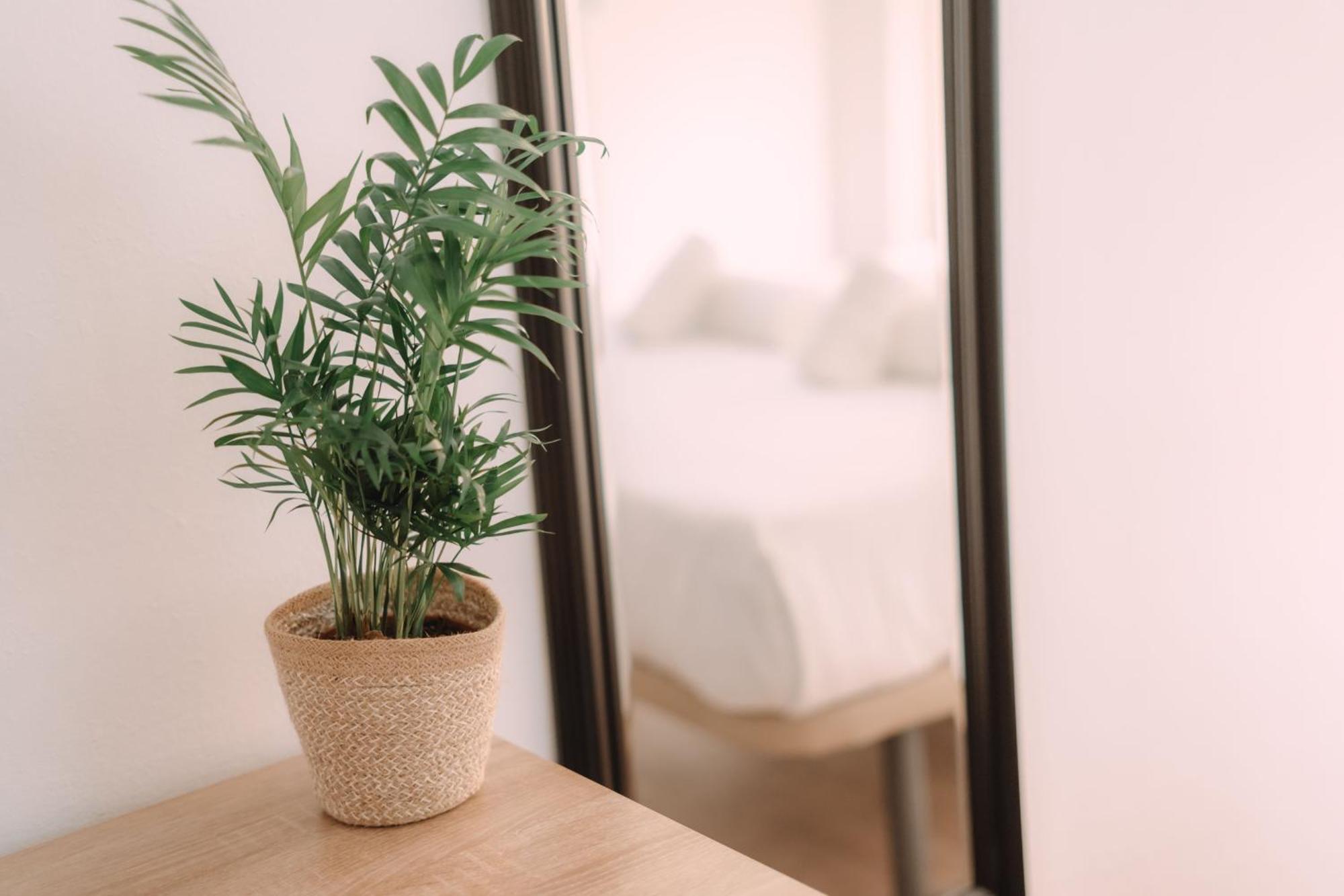 Concept Rooms 瓦伦西亚 外观 照片